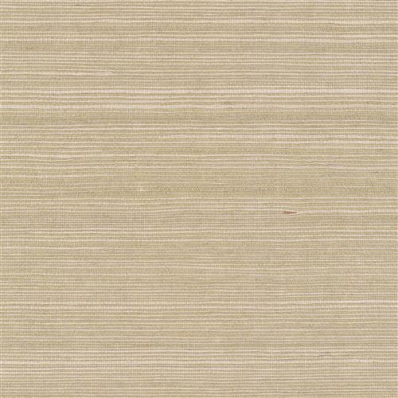 GV0176NW - Grasscloth And Natural Resource Maguey Sisal