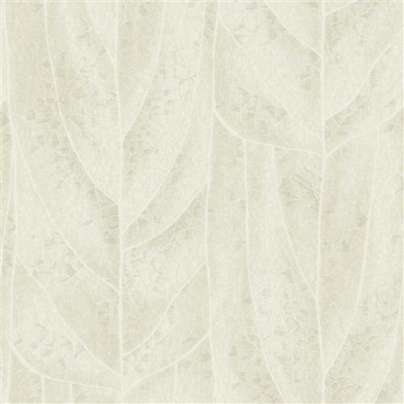 NT6143 -Candice Olson Natural Discovery Wallpaper Dicot