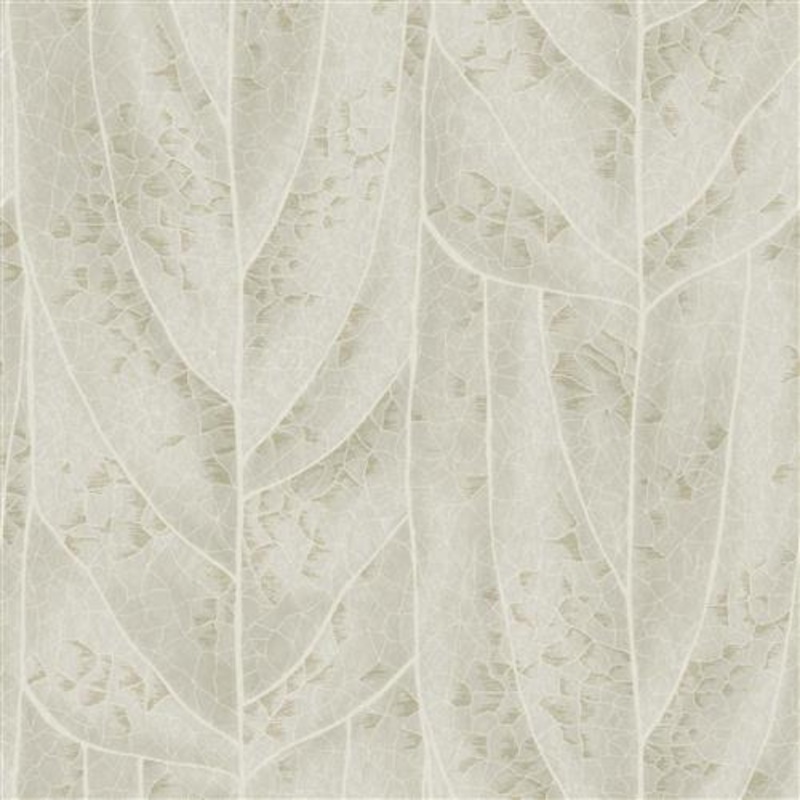 NT6144 -Candice Olson Natural Discovery Wallpaper Dicot