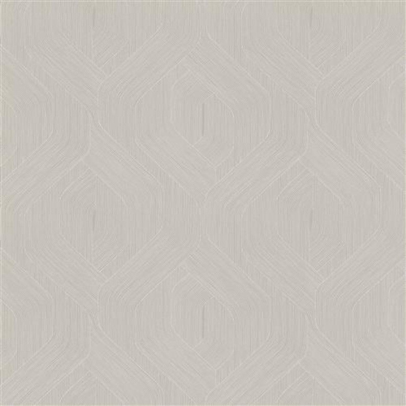 NT6195 -Candice Olson Natural Discovery Wallpaper Fine Line
