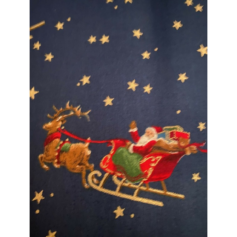 Santas's Sleigh and Reindeer