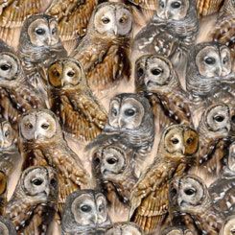 Nocturnal Wonders PACKED BARRED OWLS STONE
