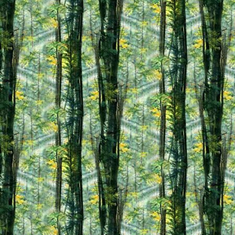 Nature Walk Multi Sunlight Forest Digitally Printed