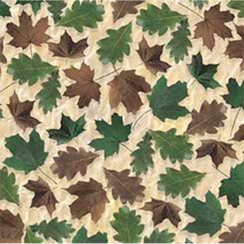 The Wonder of Nature - LEAVES