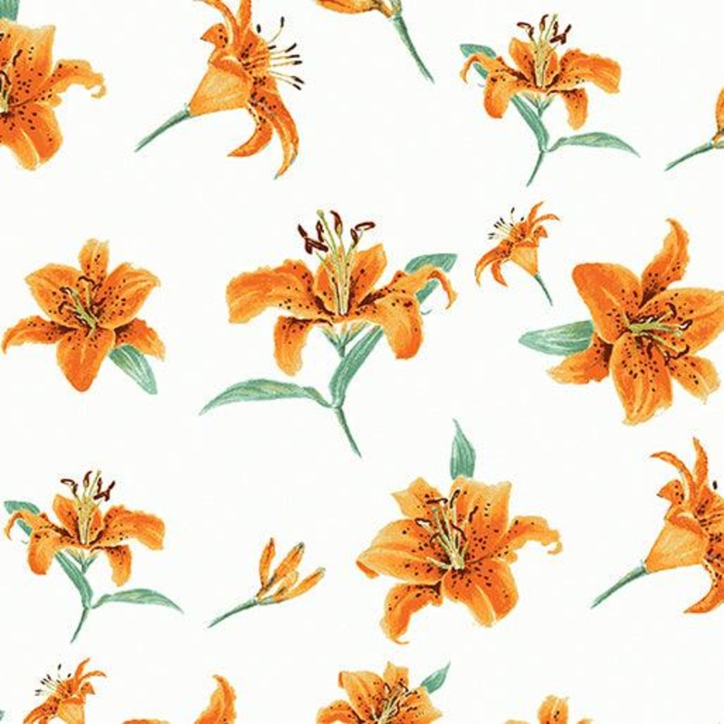 Tiger Lilies White A Painted Garden
