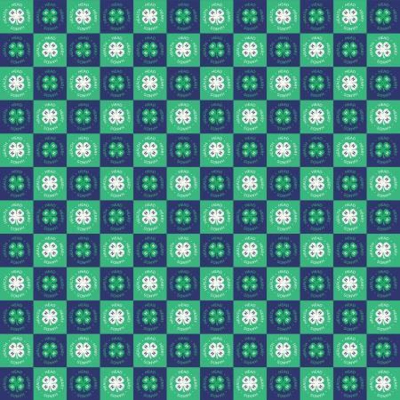 4-H Clover Blocks Blue