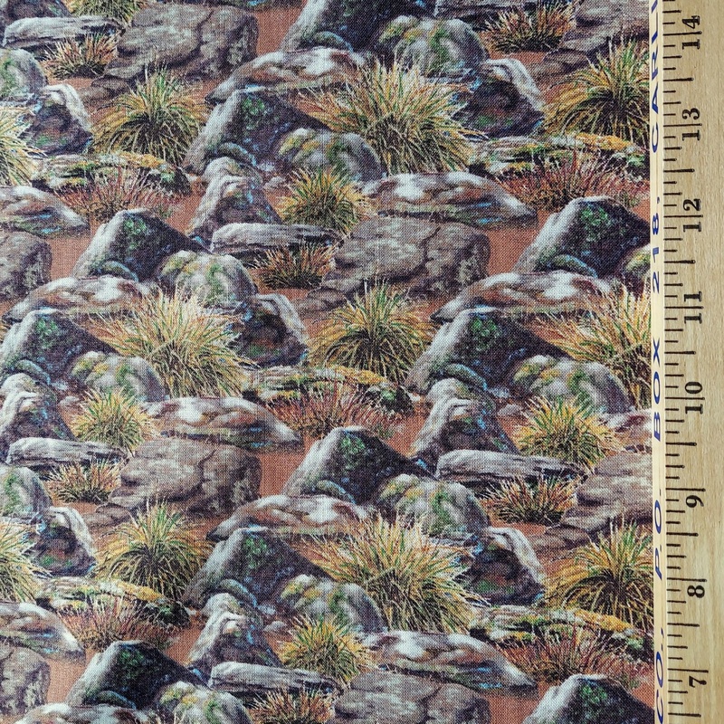 Quail Run by Carolyn Mock