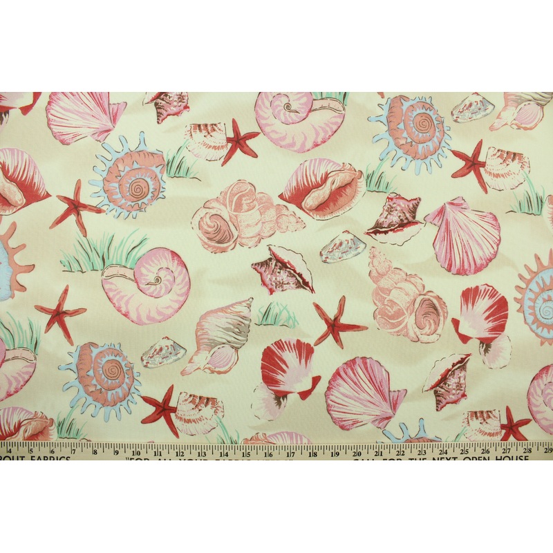 Sea Shells in Cream
