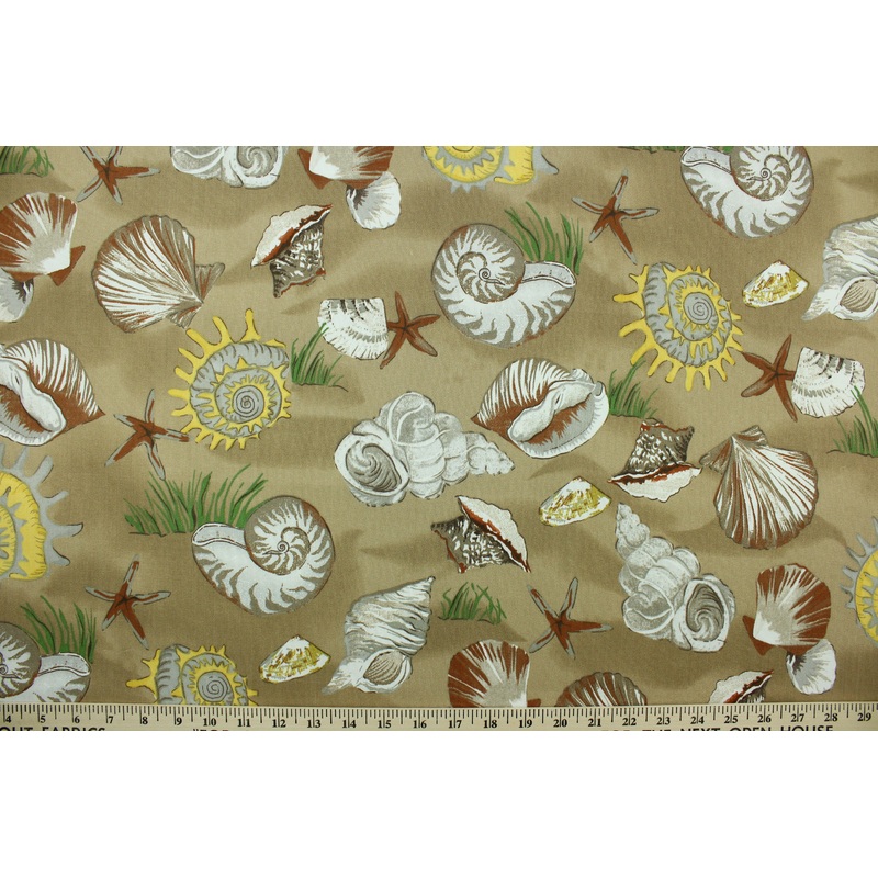 Sea Shells in Brown