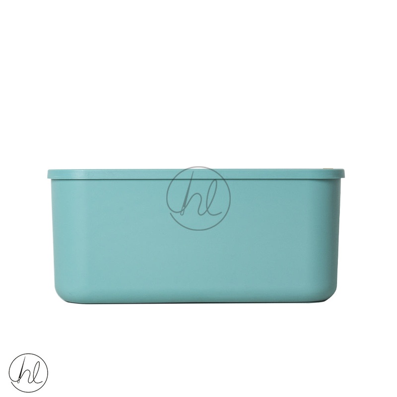 STORAGE BOX W LID ASSORTED 550 ABY-4869