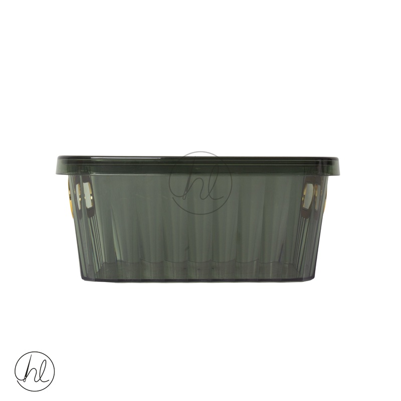 Storage Box W Handle & Lid