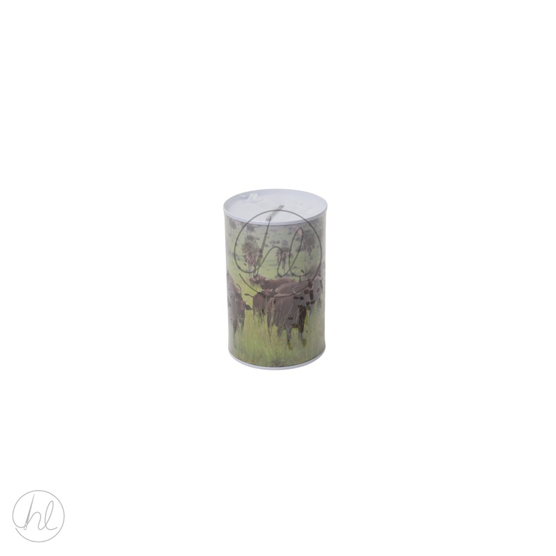 MONEY TIN BUFFALO MULTI XSMALL