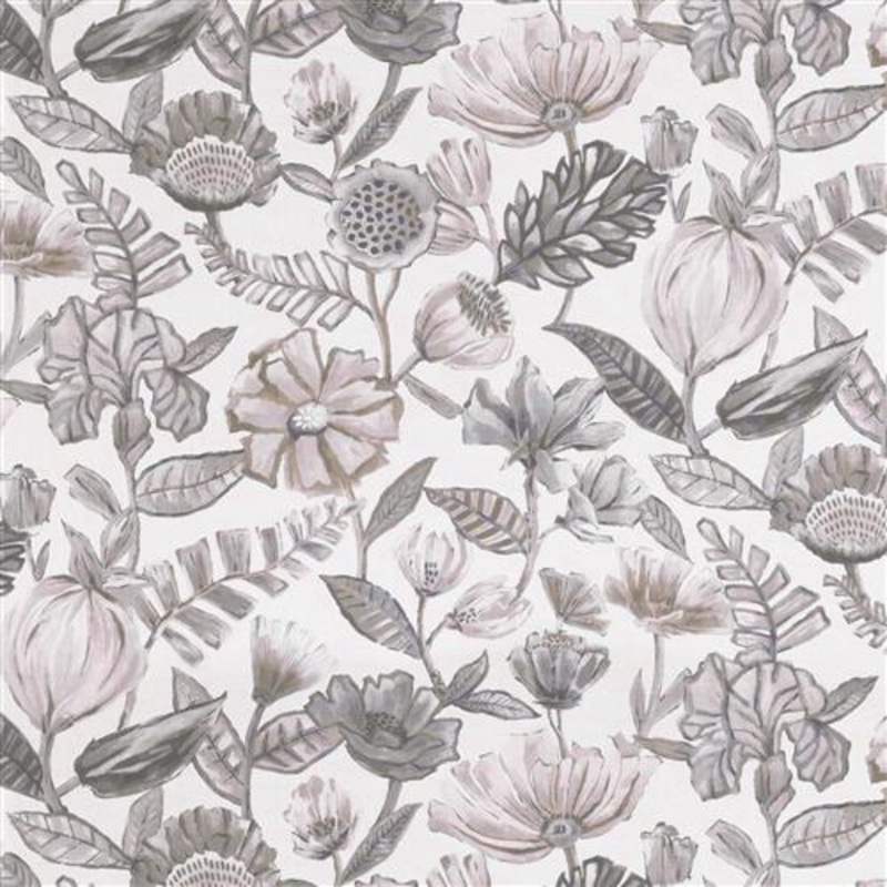 Krenzien (Fc) - Lilac Haze