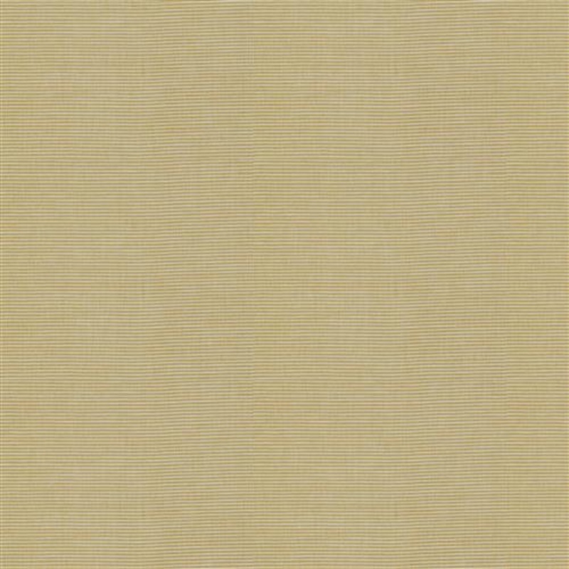 Kalancho (Fc) - Jaclyn Smith - Saffron