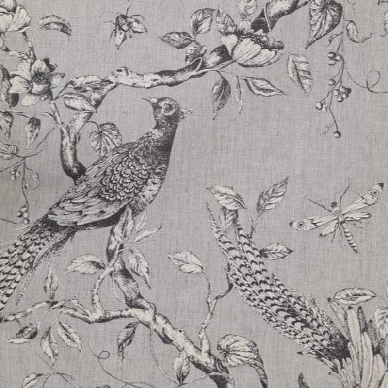 Zoffany