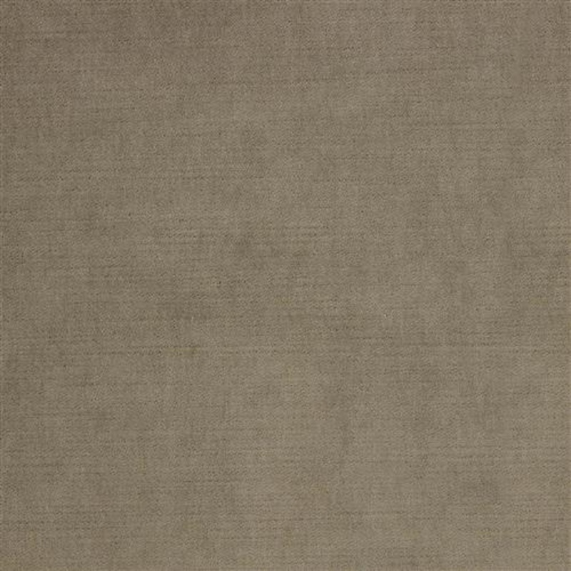 Ella Pfr (Ri) - Performance - Pecan