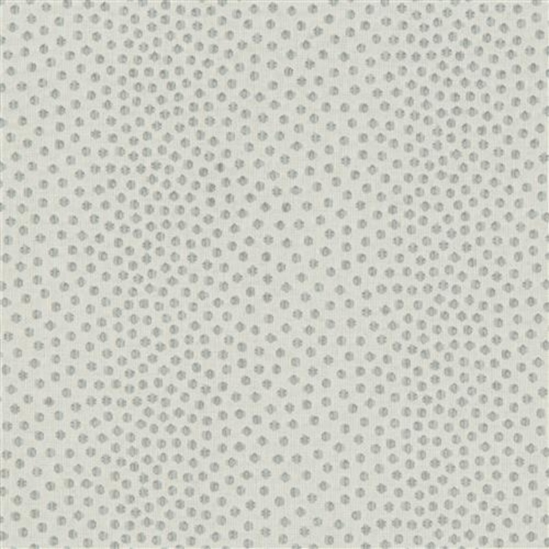 Catolo - Crypton Home - Sea Star