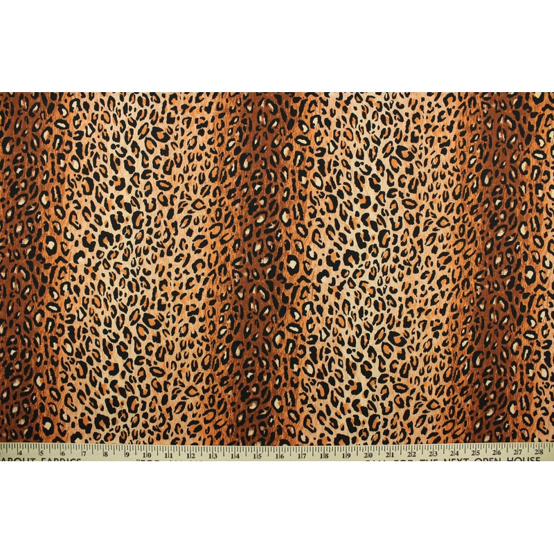 Cheetah in Rust