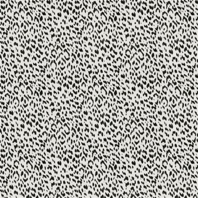 Artesia (Fc) - Echo - Black & White