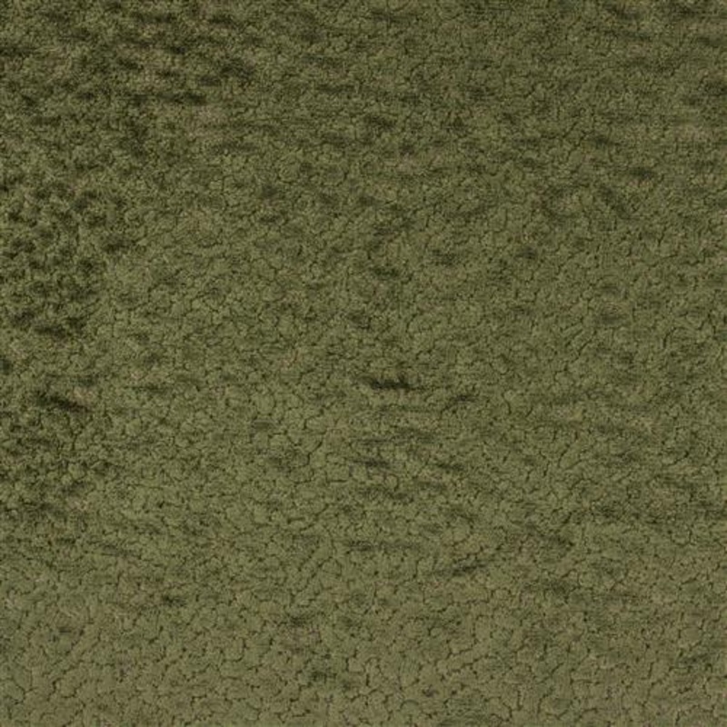 Astro (Ri) - Moss