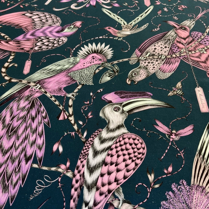 Emma Shipley at Clarke and Clarke
