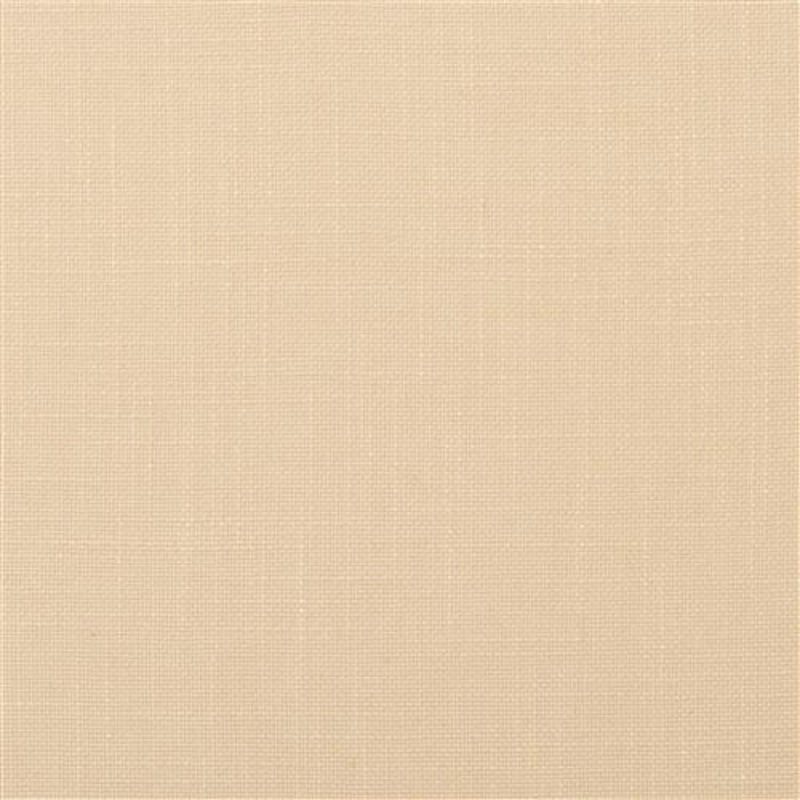 Evere - Crypton Home - Ivory