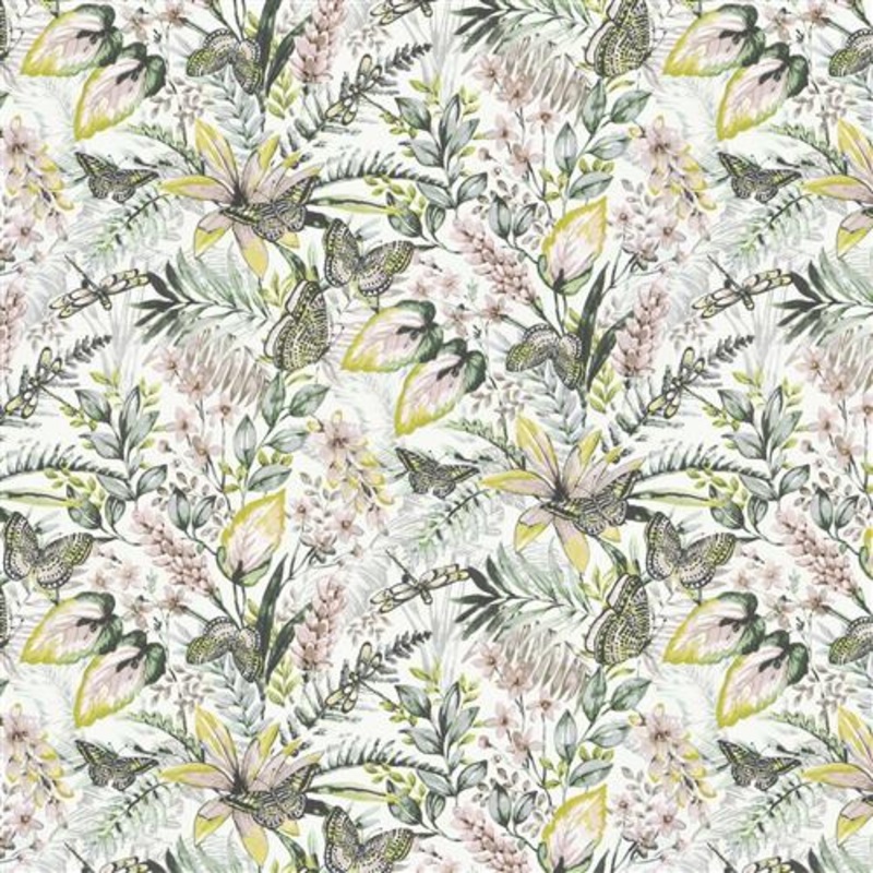 Nouri (Fc) - Sage Forest