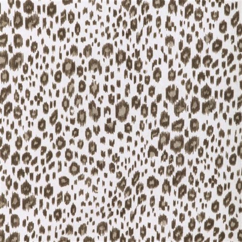 Leopard (Kc) - 6116 Java