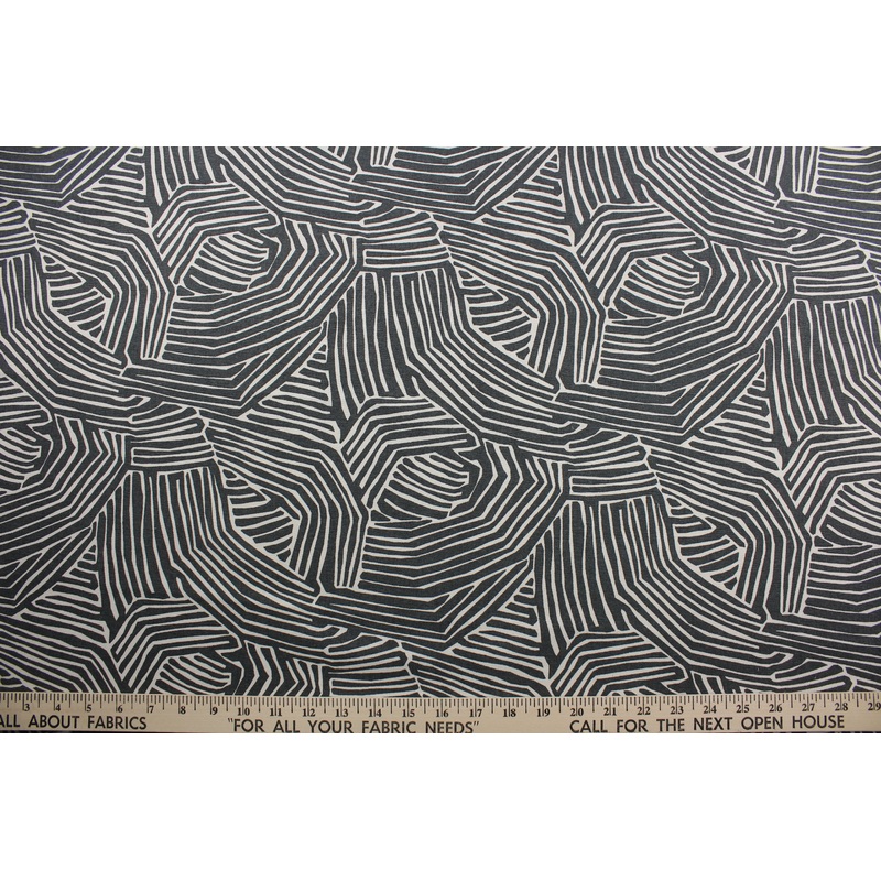 Robert Allen Zebra in Charcoal