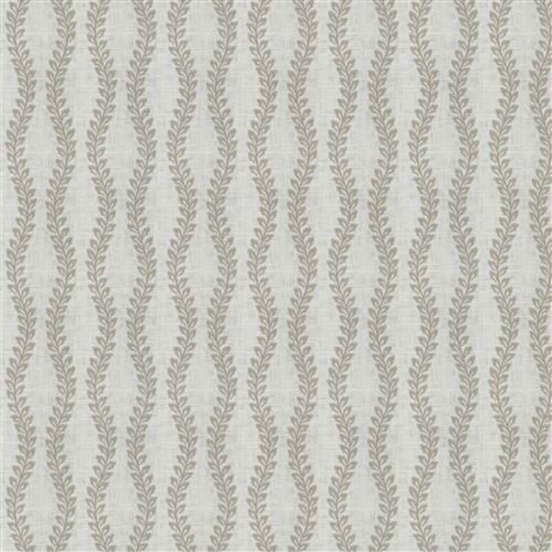 Bergamo (Fc) - Dusty Miller
