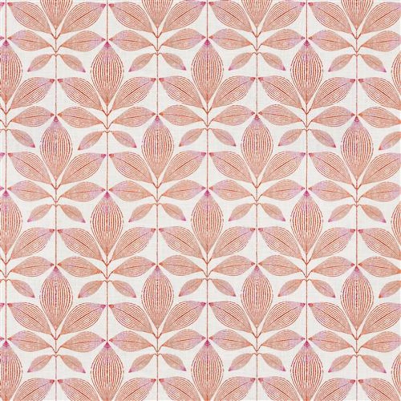 Corrales (Fc) - Echo - Coral