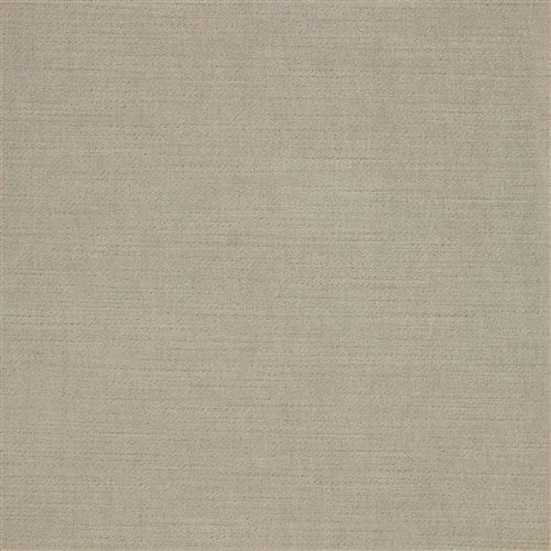 Ella Pfr (Ri) - Performance - Chamois