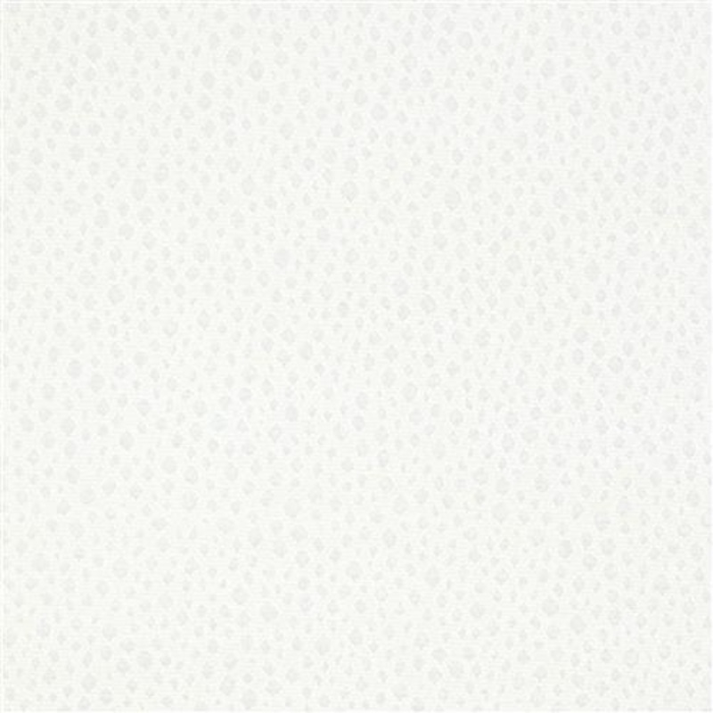 Escaladere (Kc) - Candice Olson - 1 Snow