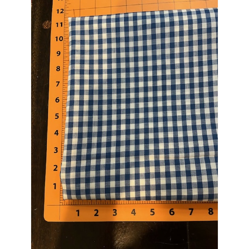 Blue and white gingham 2 yards